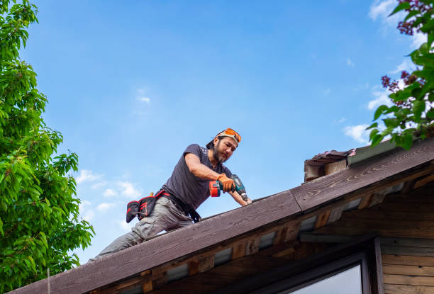 Best Roof Leak Repair  in Dawsonville, GA